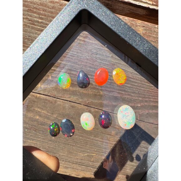 11 carats of Opals in Display Case - Picture 7 of 7